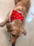 Over the collar dog bandana