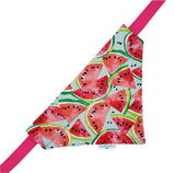 Over the collar dog bandana summer watermelon