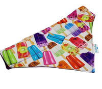 Over the collar dog bandana summer popsicle