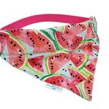 Over the collar dog bandana summer watermelon