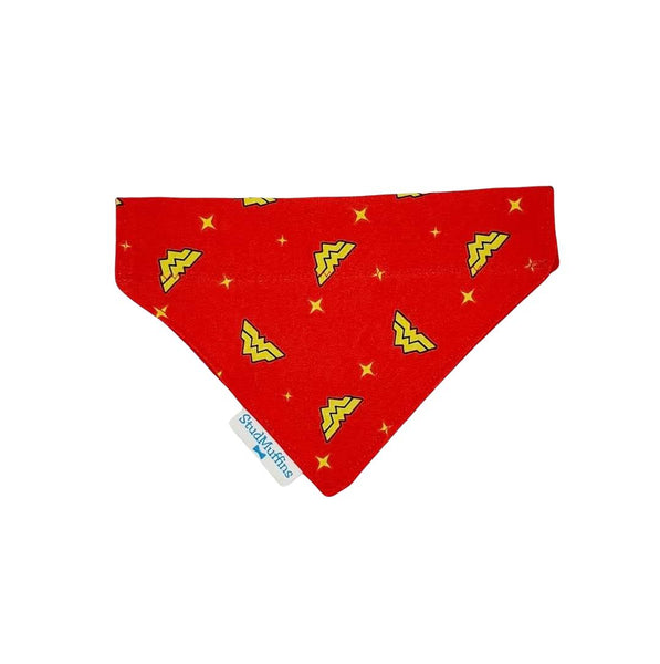 Over the collar dog bandana